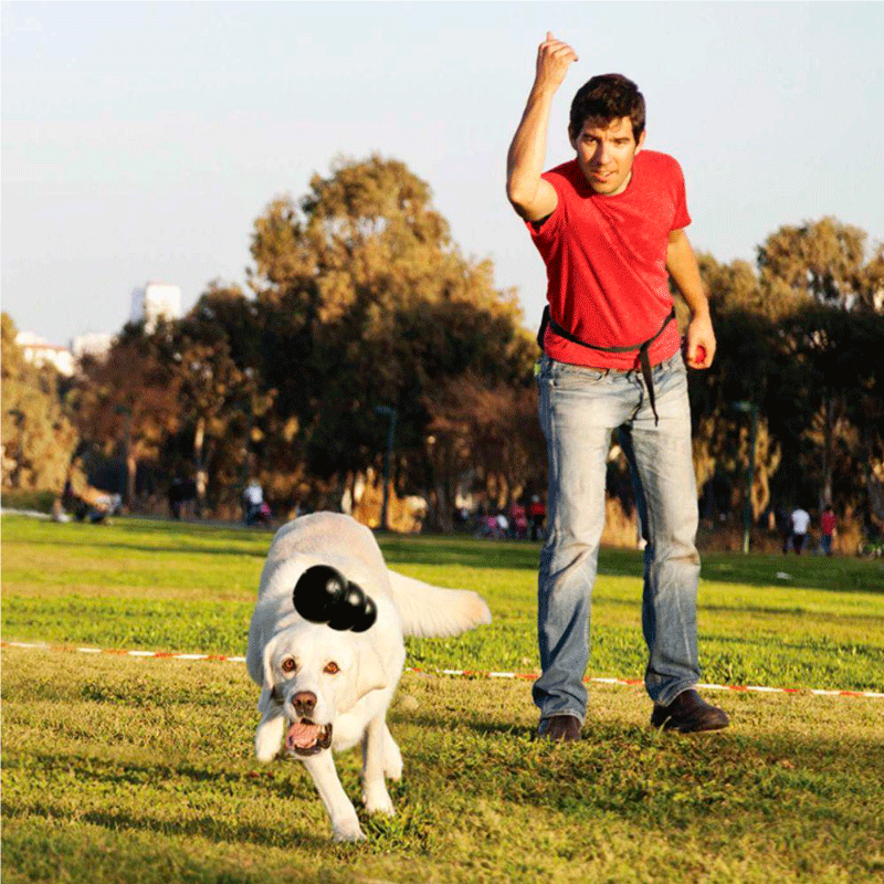 juguetes kong para pitbull juguetes kong para pitbull